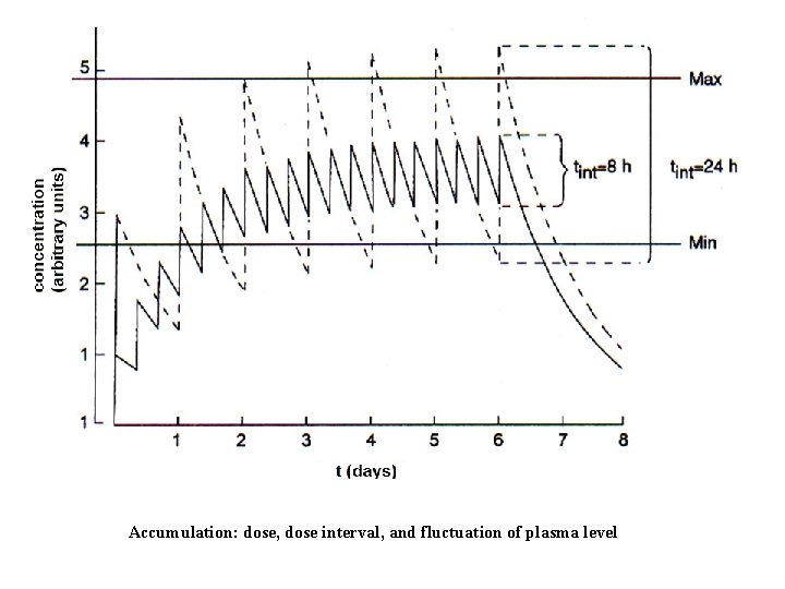 Accumulation: dose, dose interval, and fluctuation of plasma level 