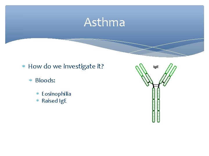 Asthma How do we investigate it? Bloods: Eosinophilia Raised Ig. E 