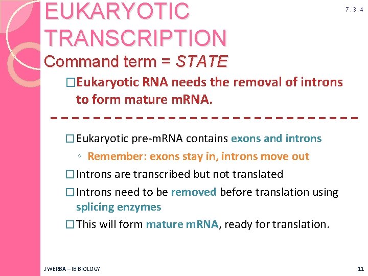 EUKARYOTIC TRANSCRIPTION 7. 3. 4 Command term = STATE �Eukaryotic RNA needs the removal