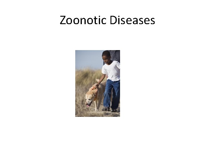 Zoonotic Diseases 