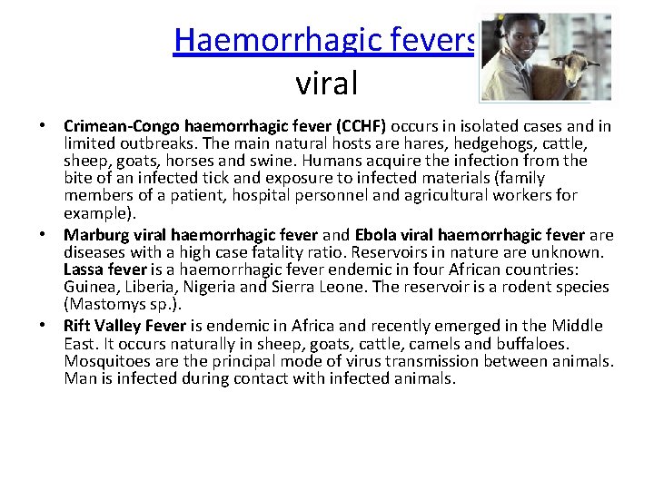 Haemorrhagic fevers viral • Crimean-Congo haemorrhagic fever (CCHF) occurs in isolated cases and in