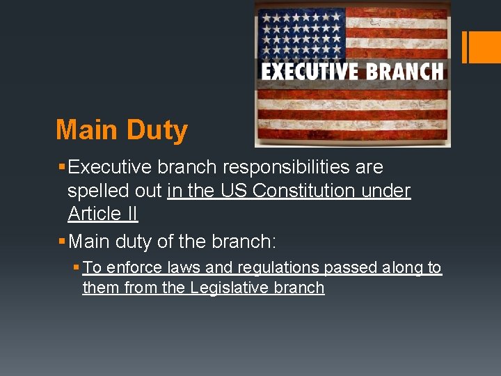 Main Duty § Executive branch responsibilities are spelled out in the US Constitution under