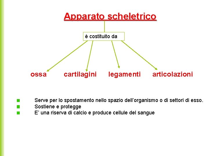 Apparato scheletrico è costituito da ossa cartilagini legamenti articolazioni Serve per lo spostamento nello