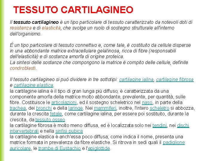 TESSUTO CARTILAGINEO Il tessuto cartilagineo è un tipo particolare di tessuto caratterizzato da notevoli
