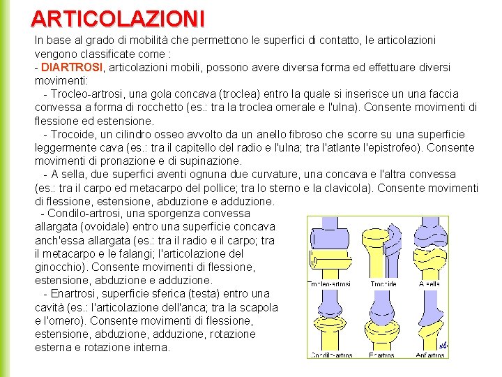 ARTICOLAZIONI In base al grado di mobilità che permettono le superfici di contatto, le