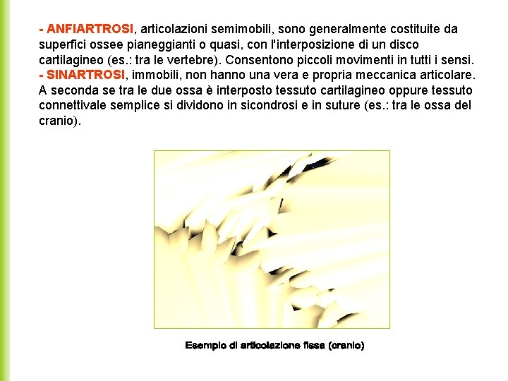 - ANFIARTROSI, articolazioni semimobili, sono generalmente costituite da superfici ossee pianeggianti o quasi, con