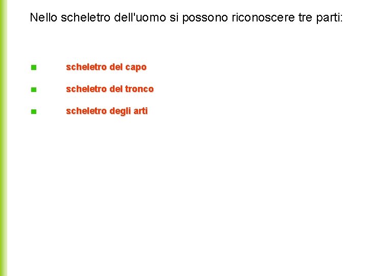 Nello scheletro dell'uomo si possono riconoscere tre parti: scheletro del capo scheletro del tronco