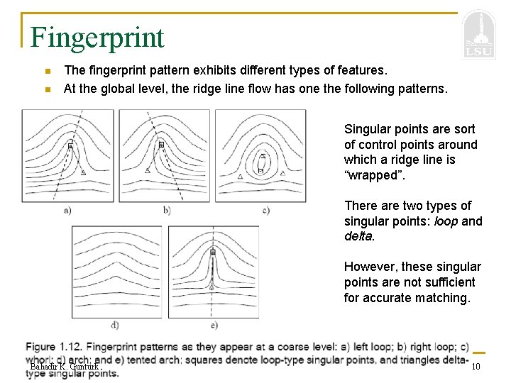 Fingerprint n n The fingerprint pattern exhibits different types of features. At the global