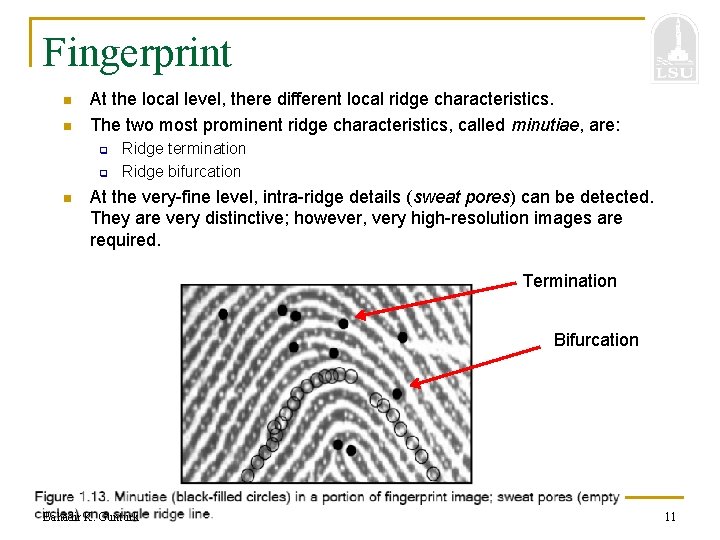 Fingerprint n n At the local level, there different local ridge characteristics. The two