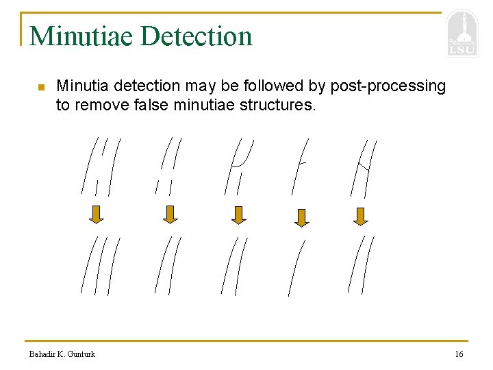 Minutiae Detection n Minutia detection may be followed by post-processing to remove false minutiae