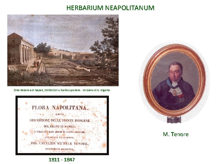 HERBARIUM NEAPOLITANUM Orto Botanico di Napoli, Calidarium e livello superiore - Incisione di G.