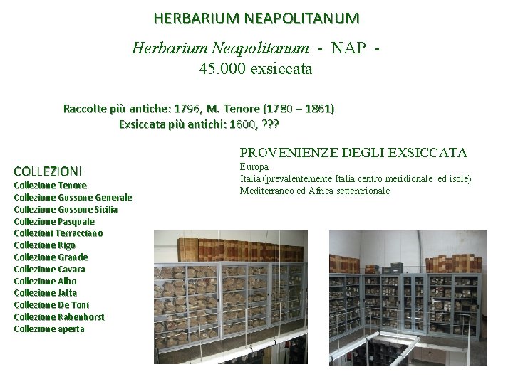 HERBARIUM NEAPOLITANUM Herbarium Neapolitanum - NAP 45. 000 exsiccata Raccolte più antiche: 1796, M.