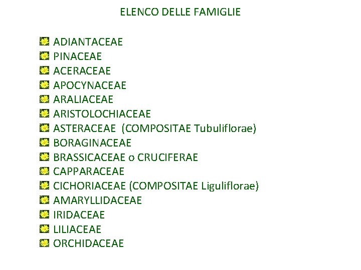 ELENCO DELLE FAMIGLIE ADIANTACEAE PINACEAE ACERACEAE APOCYNACEAE ARALIACEAE ARISTOLOCHIACEAE ASTERACEAE (COMPOSITAE Tubuliflorae) BORAGINACEAE BRASSICACEAE