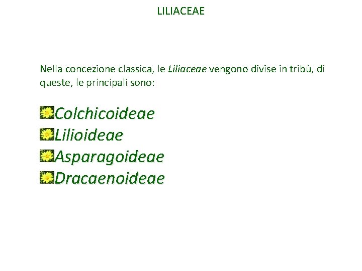 LILIACEAE Nella concezione classica, le Liliaceae vengono divise in tribù, di queste, le principali