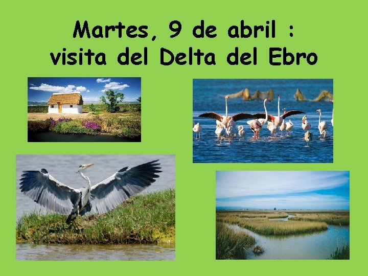 Martes, 9 de abril : visita del Delta del Ebro 