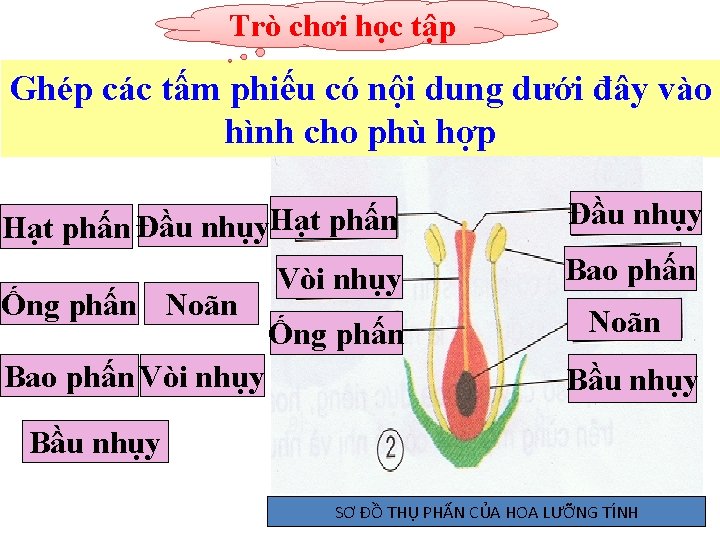 Trò chơi học tập Ghép các tấm phiếu có nội dung dưới đây vào