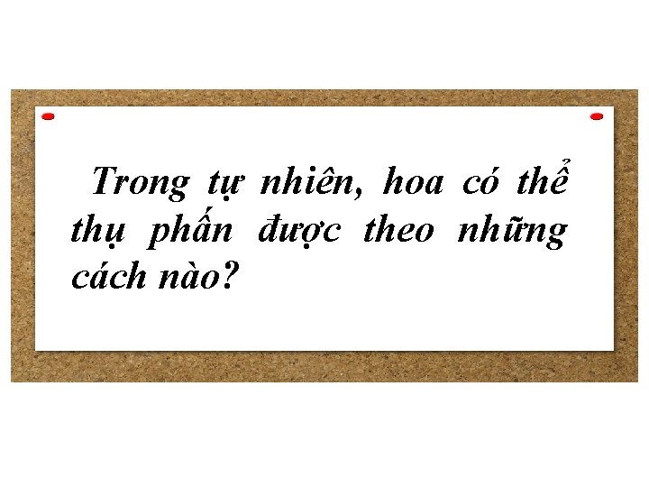 Trong tự nhiên, hoa có thể thụ phấn được theo những cách nào? 