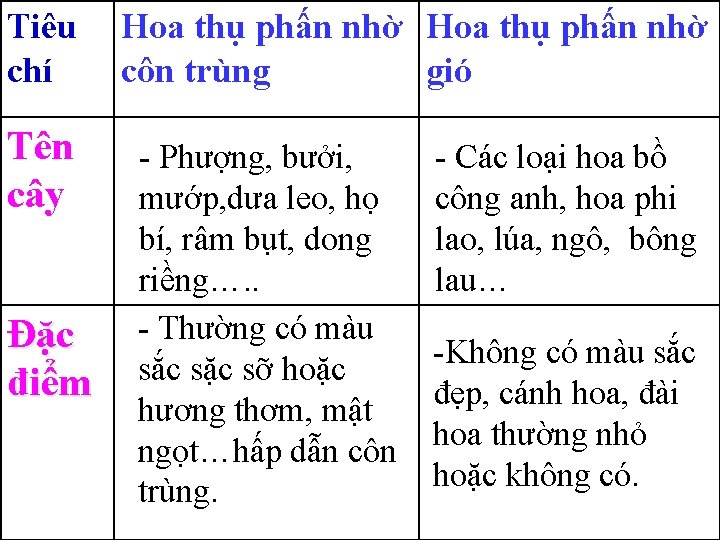 Tiêu chí Tên cây Đặc điểm Hoa thụ phấn nhờ côn trùng gió -