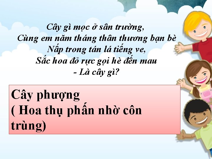 Cây gì mọc ở sân trường, Cùng em năm tháng thân thương bạn bè