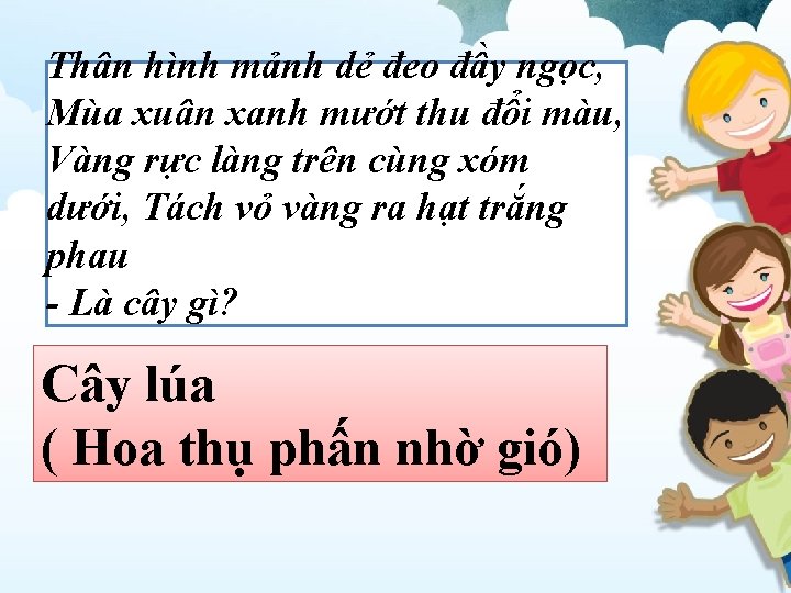 Thân hình mảnh dẻ đeo đầy ngọc, Mùa xuân xanh mướt thu đổi màu,