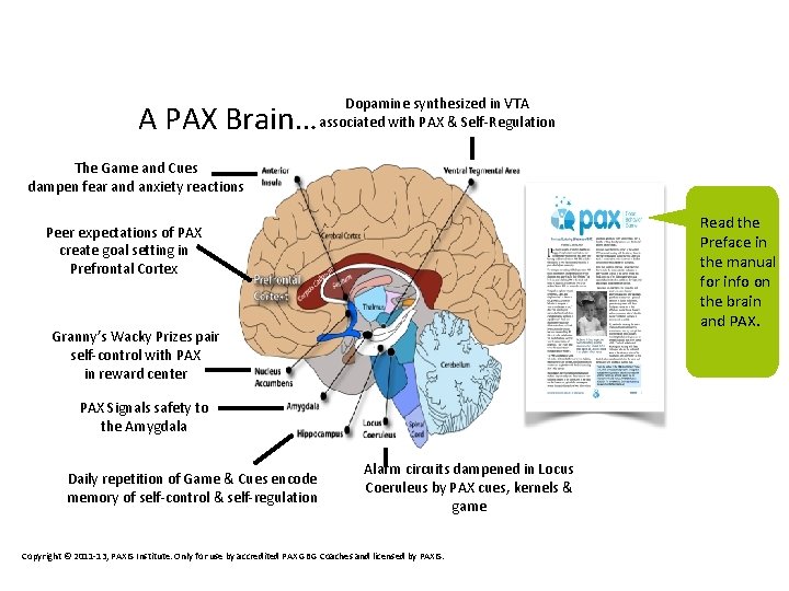 A PAX Brain… Dopamine synthesized in VTA associated with PAX & Self-Regulation The Game