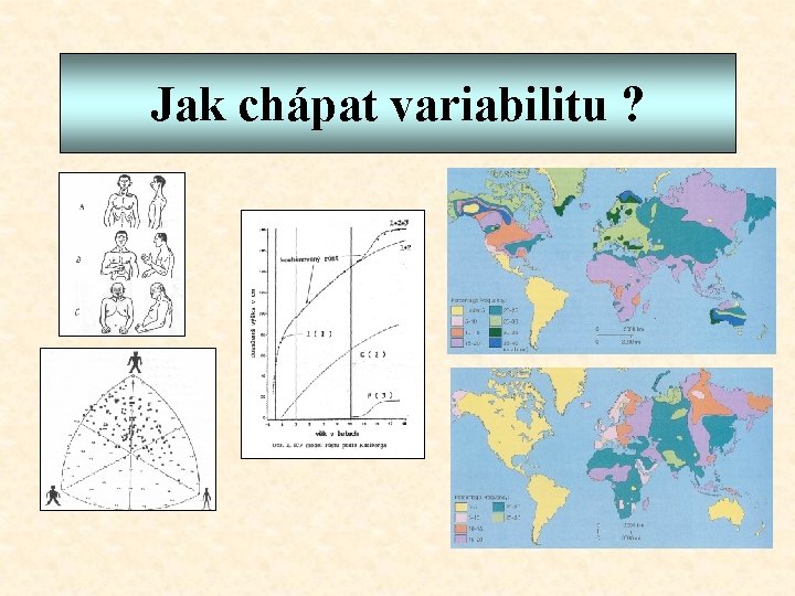 Jak chápat variabilitu ? 