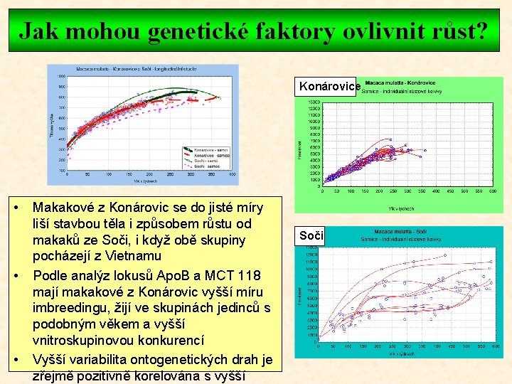 Jak mohou genetické faktory ovlivnit růst? Konárovice • • • Makakové z Konárovic se