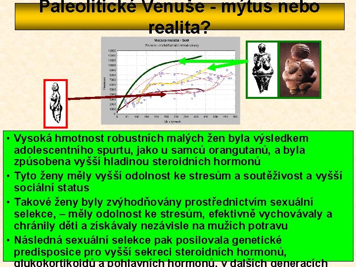 Paleolitické Venuše - mýtus nebo realita? • Vysoká hmotnost robustních malých žen byla výsledkem