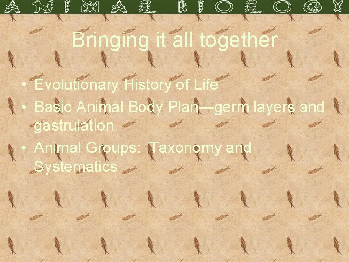 Bringing it all together • Evolutionary History of Life • Basic Animal Body Plan—germ