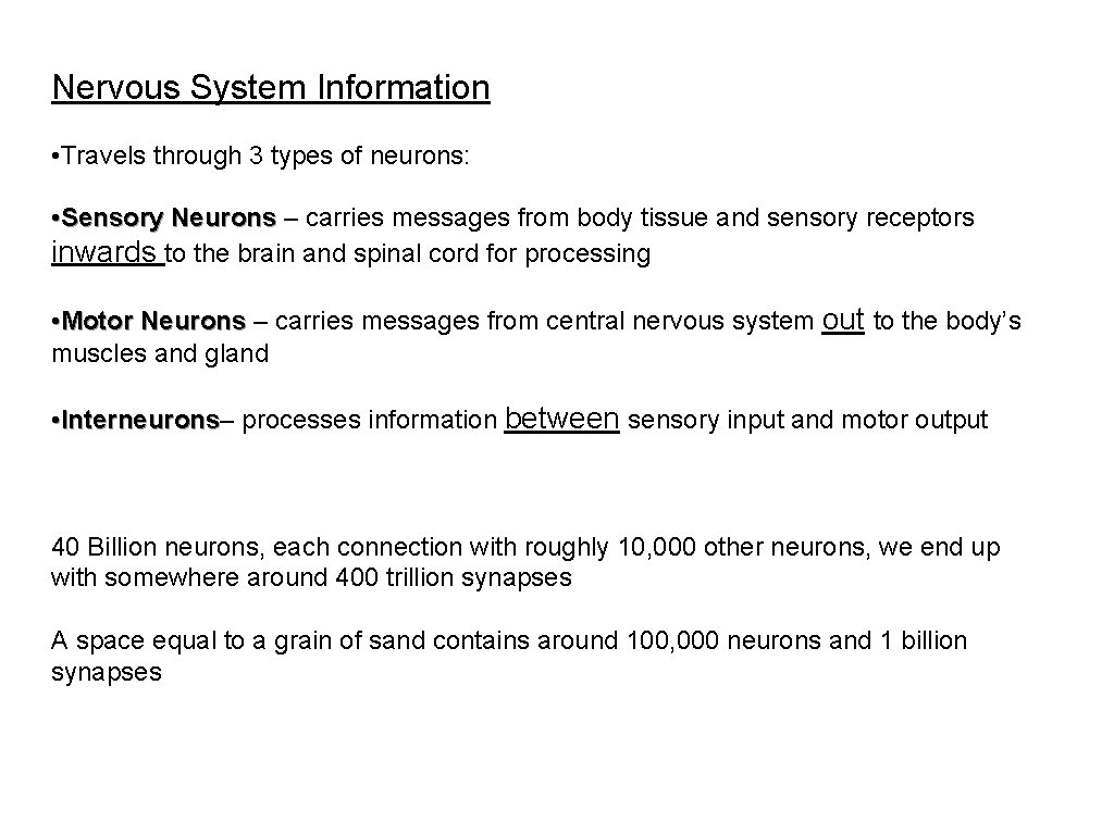 Nervous System Information • Travels through 3 types of neurons: • Sensory Neurons –