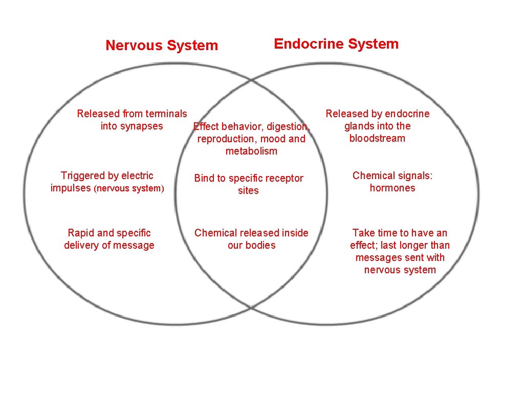 Nervous System Endocrine System Released from terminals into synapses Effect behavior, digestion, reproduction, mood