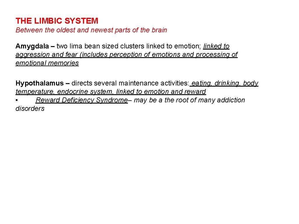 THE LIMBIC SYSTEM Between the oldest and newest parts of the brain Amygdala –