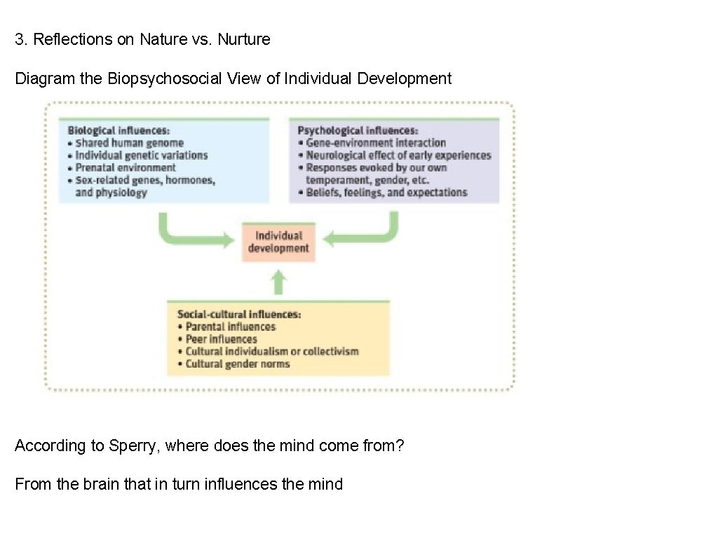 3. Reflections on Nature vs. Nurture Diagram the Biopsychosocial View of Individual Development According