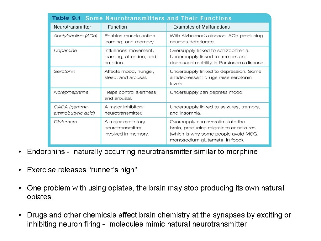  • Endorphins - naturally occurring neurotransmitter similar to morphine • Exercise releases “runner’s