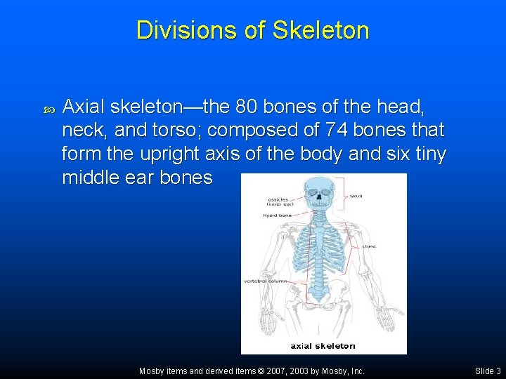 Divisions of Skeleton Axial skeleton—the 80 bones of the head, neck, and torso; composed
