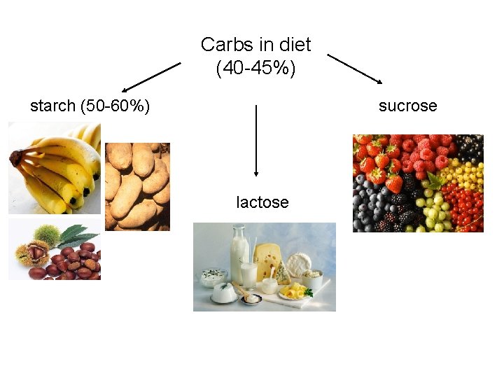 Carbs in diet (40 -45%) starch (50 -60%) sucrose lactose 