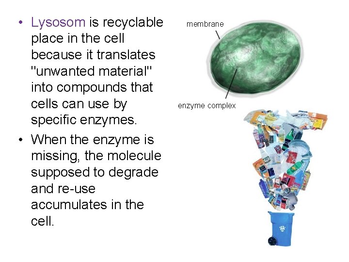  • Lysosom is recyclable place in the cell because it translates "unwanted material"