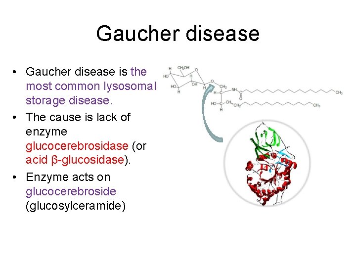 Gaucher disease • Gaucher disease is the most common lysosomal storage disease. • The