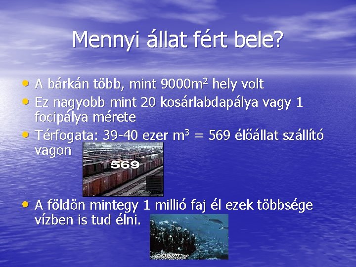 Mennyi állat fért bele? • A bárkán több, mint 9000 m 2 hely volt