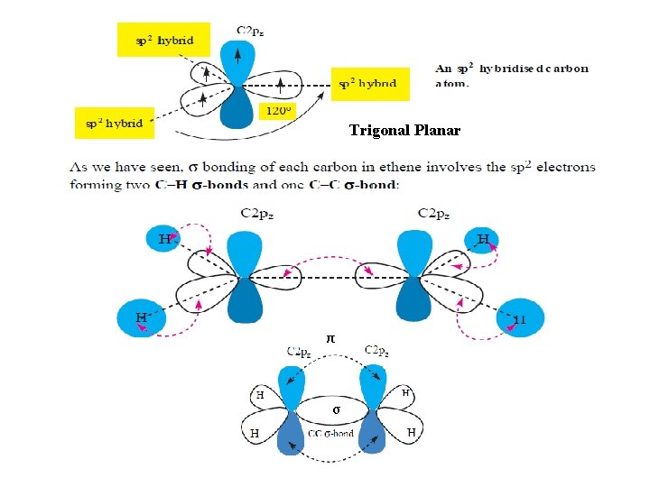Trigonal Planar π σ 