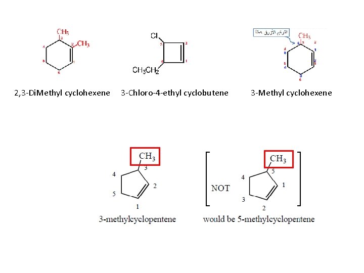 2, 3 -Di. Methyl cyclohexene 3 -Chloro-4 -ethyl cyclobutene 3 -Methyl cyclohexene 