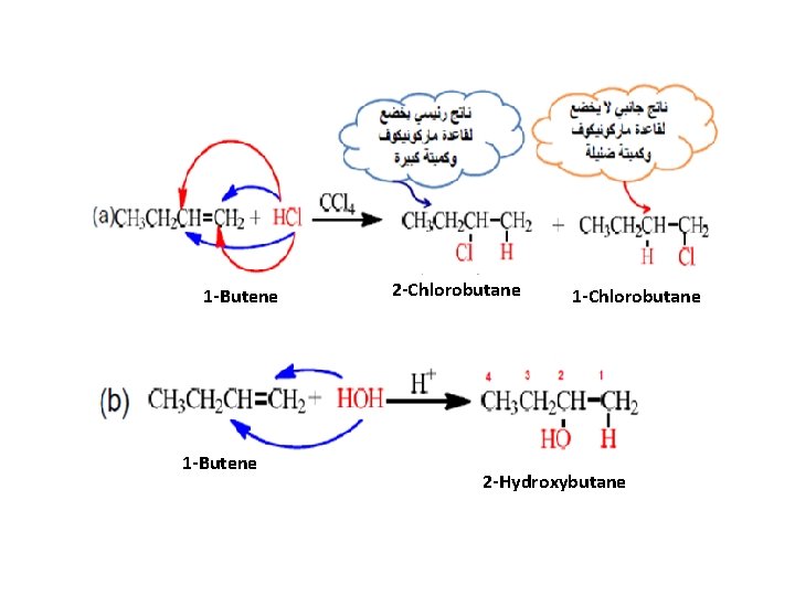 1 -Butene 2 -Chlorobutane 1 -Chlorobutane 2 -Hydroxybutane 