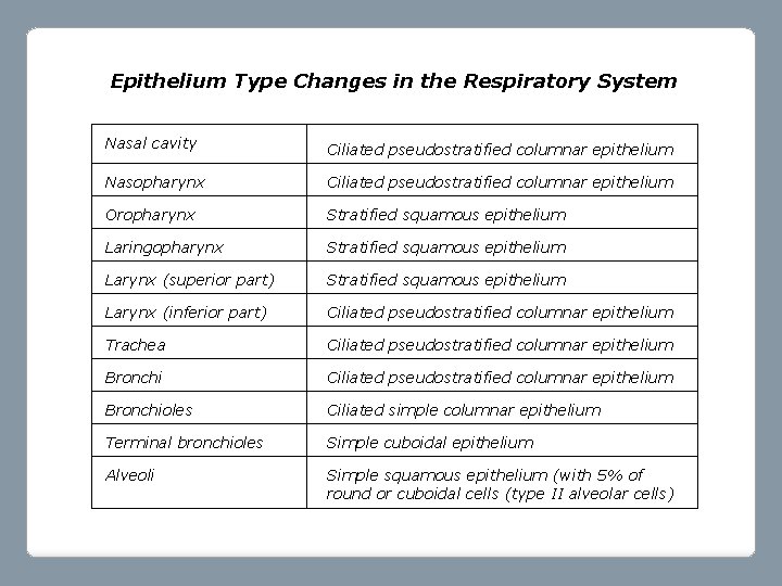 Epithelium Type Changes in the Respiratory System Nasal cavity Ciliated pseudostratified columnar epithelium Nasopharynx