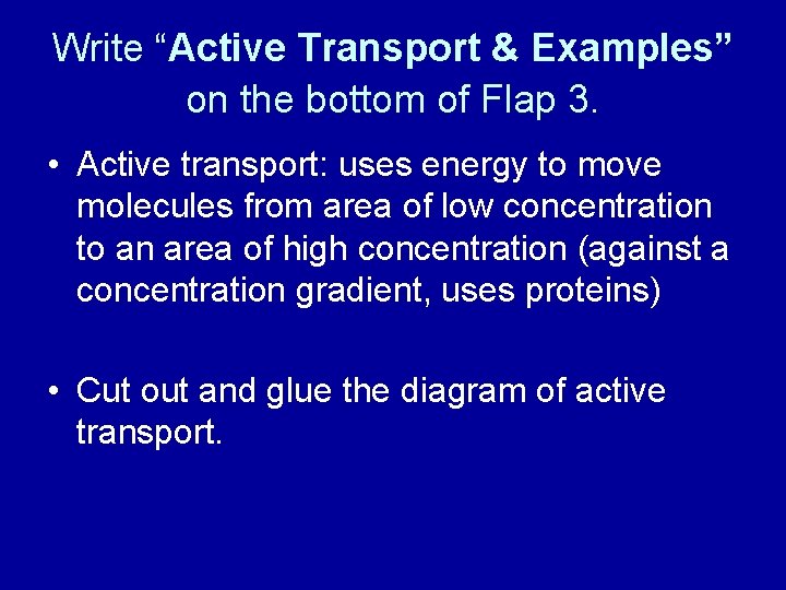 Write “Active Transport & Examples” on the bottom of Flap 3. • Active transport: