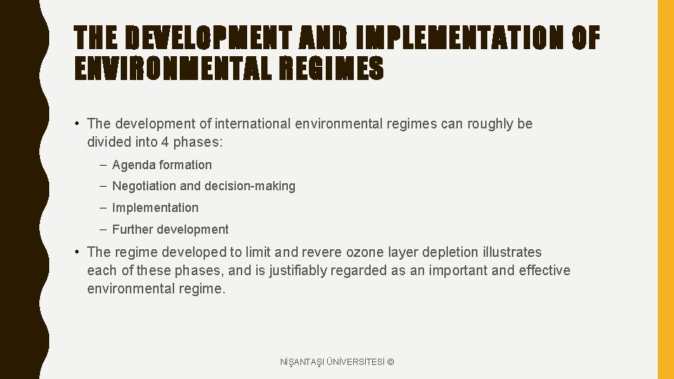 THE DEVELOPMENT AND IMPLEMENTATION OF ENVIRONMENTAL REGIMES • The development of international environmental regimes
