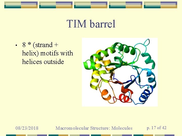 TIM barrel • 8 * (strand + helix) motifs with helices outside 08/23/2018 Macromolecular
