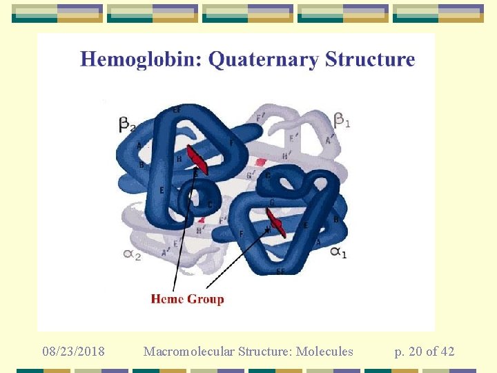 08/23/2018 Macromolecular Structure: Molecules p. 20 of 42 