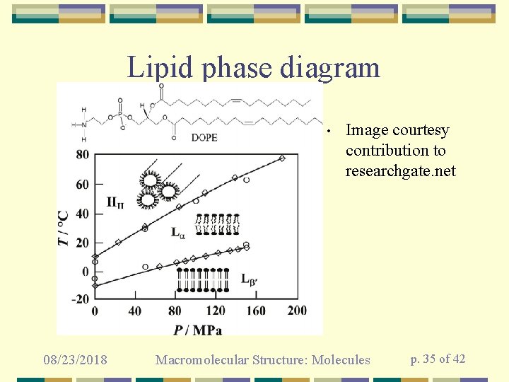 Lipid phase diagram • 08/23/2018 Image courtesy contribution to researchgate. net Macromolecular Structure: Molecules