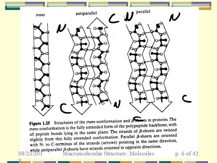 08/23/201 8 Macromolecular Structure: Molecules p. 6 of 42 