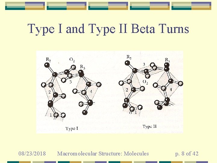 Type I and Type II Beta Turns 08/23/2018 Macromolecular Structure: Molecules p. 8 of